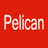 Pelican